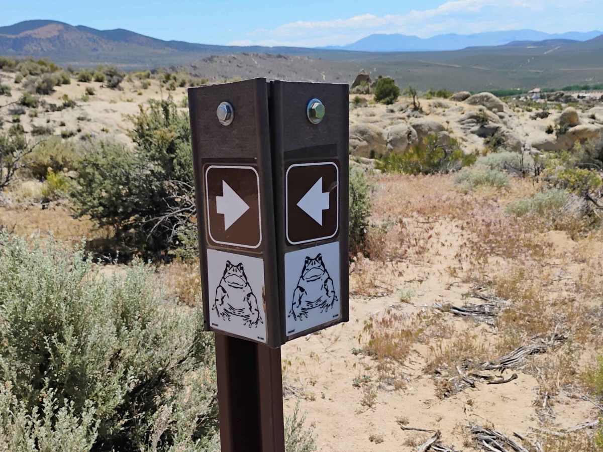 Toad Rock Loop photo 2