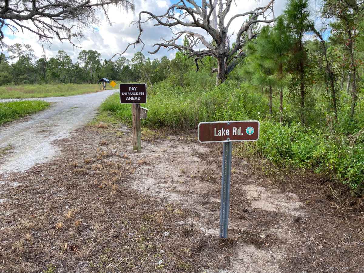 Lake Road photo 6