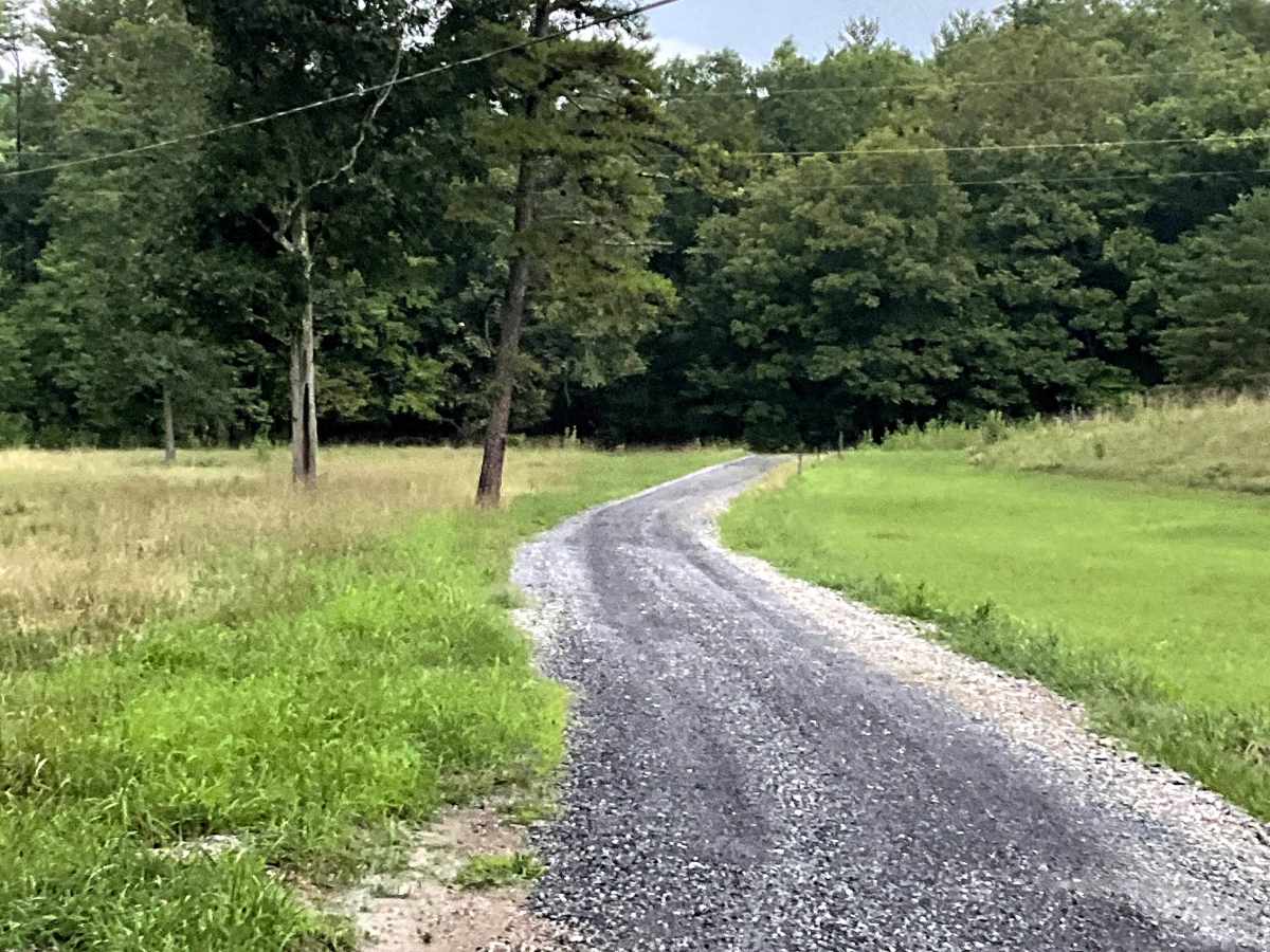 McDaniel Drive trail photo