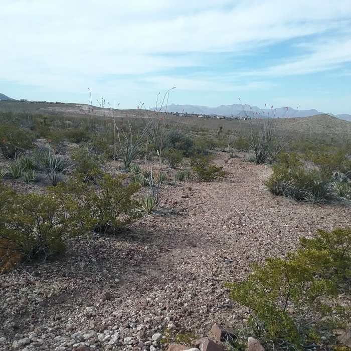 Looking west from the trail Near Del Sol Valley