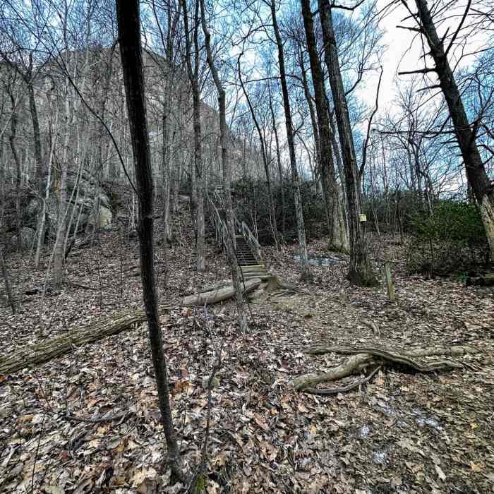Near Hickory Nut Falls Trail