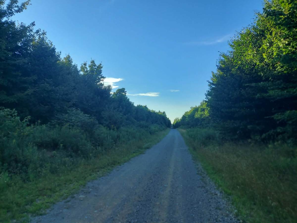 Shaw Camp Road photo 2