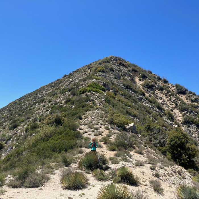 Near Lukens and Condor Loop
