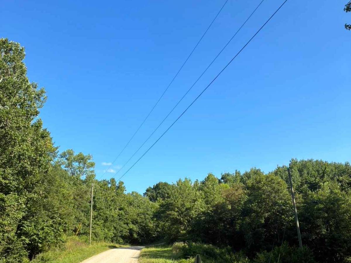 Town Highway 323 photo 4