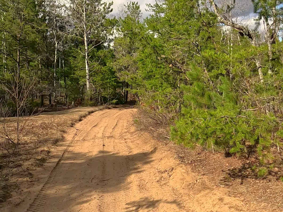 ORV H-57 : Bull Gap Hill Climb - Secondary Return Loop <50" trail photo