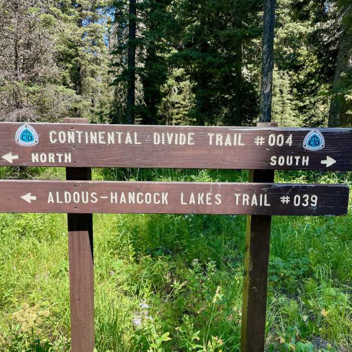 Near Continental Divide Trail: Montana-Idaho Section 4