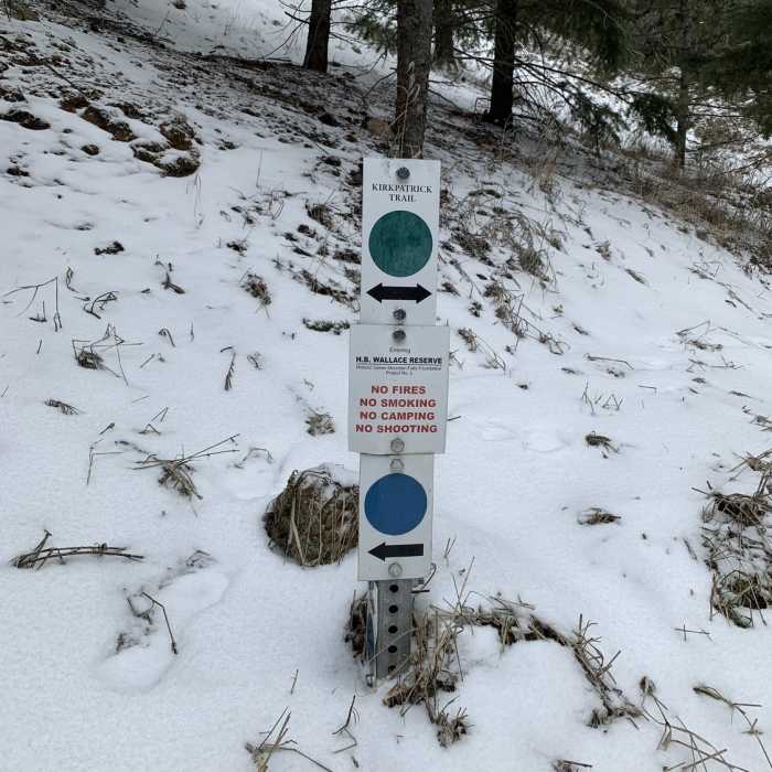 Near Kirkpatrick Trail