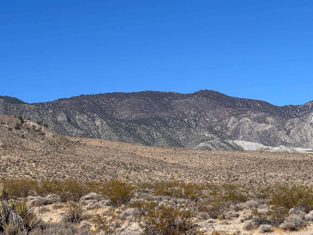 Eagle Rock Trail photo 4