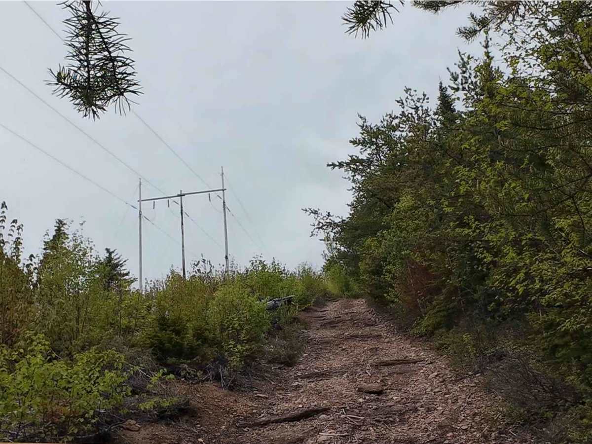 Prosser Brook Powerline Trail  photo 3