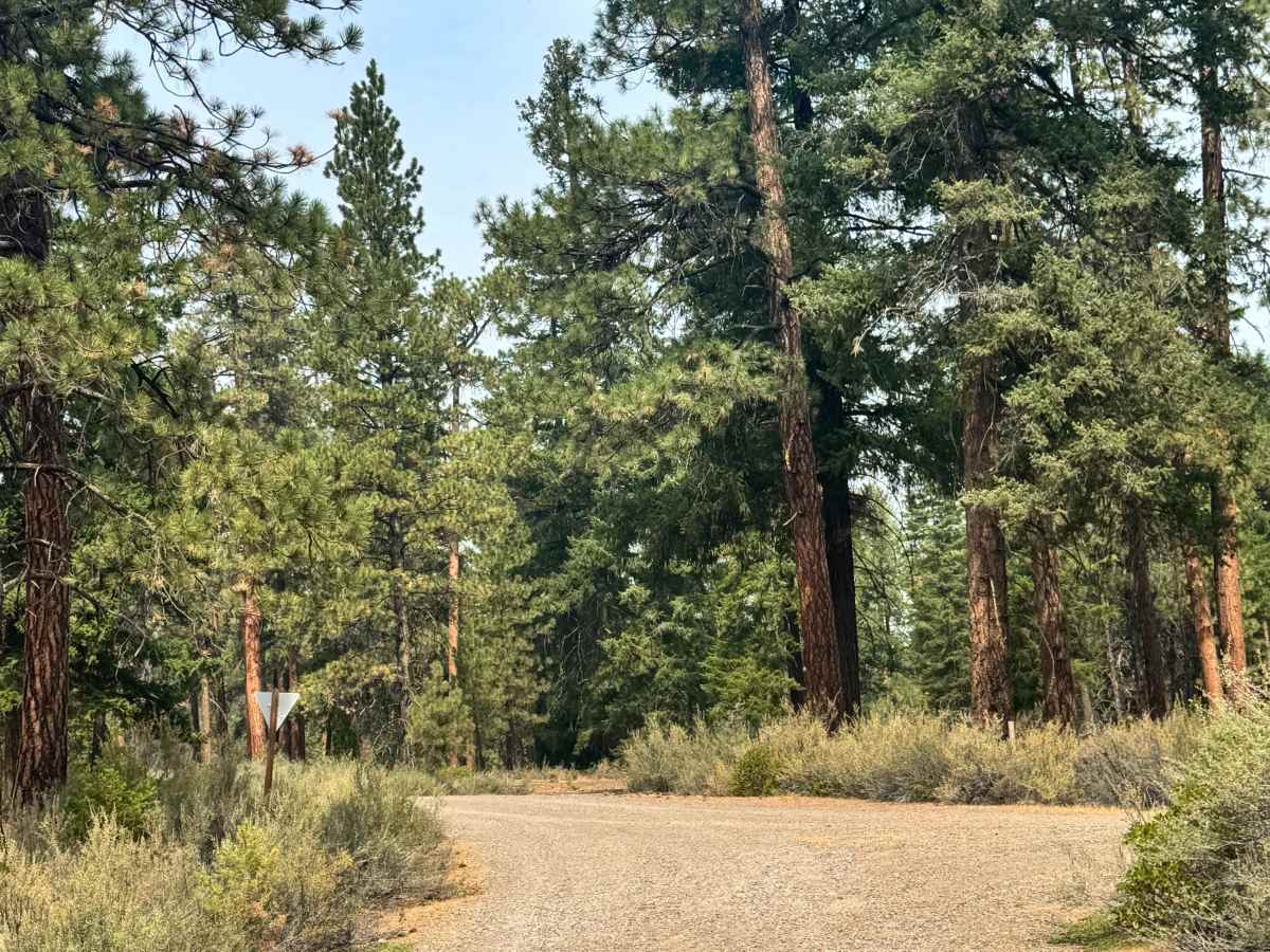 FS 1160 trail photo