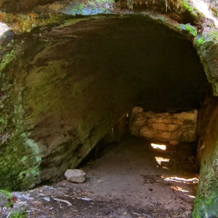 Near Redwood Mountain Grove: Hart Trail & Sugar Bowl Trail Loops