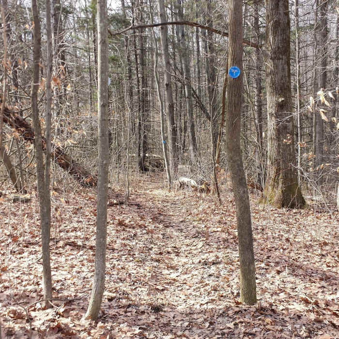 B1 Trailhead. Near Oakley Corners Yellow Trails