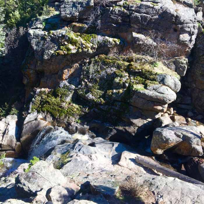 Near Forsythe Canyon Trail