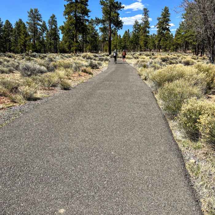 Near Arizona Trail Passage 37: Grand Canyon - South Rim