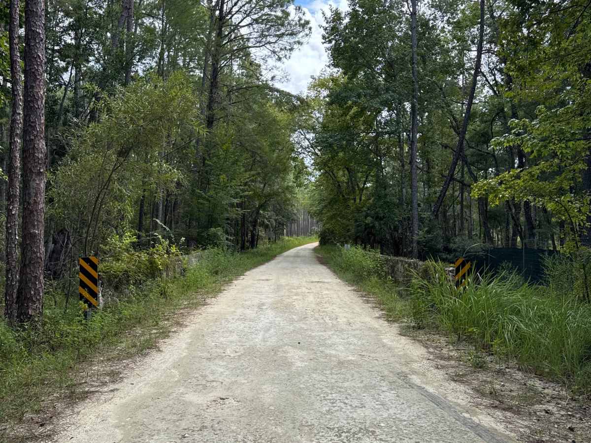 Ocala National Forest SE 13th Avenue photo 5