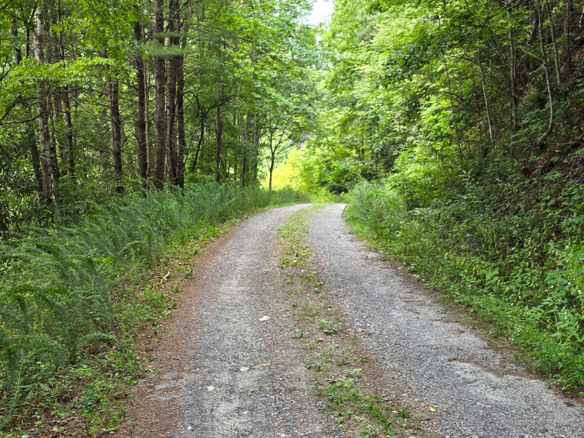 Derreberry Gap - FS 6148 trail photo
