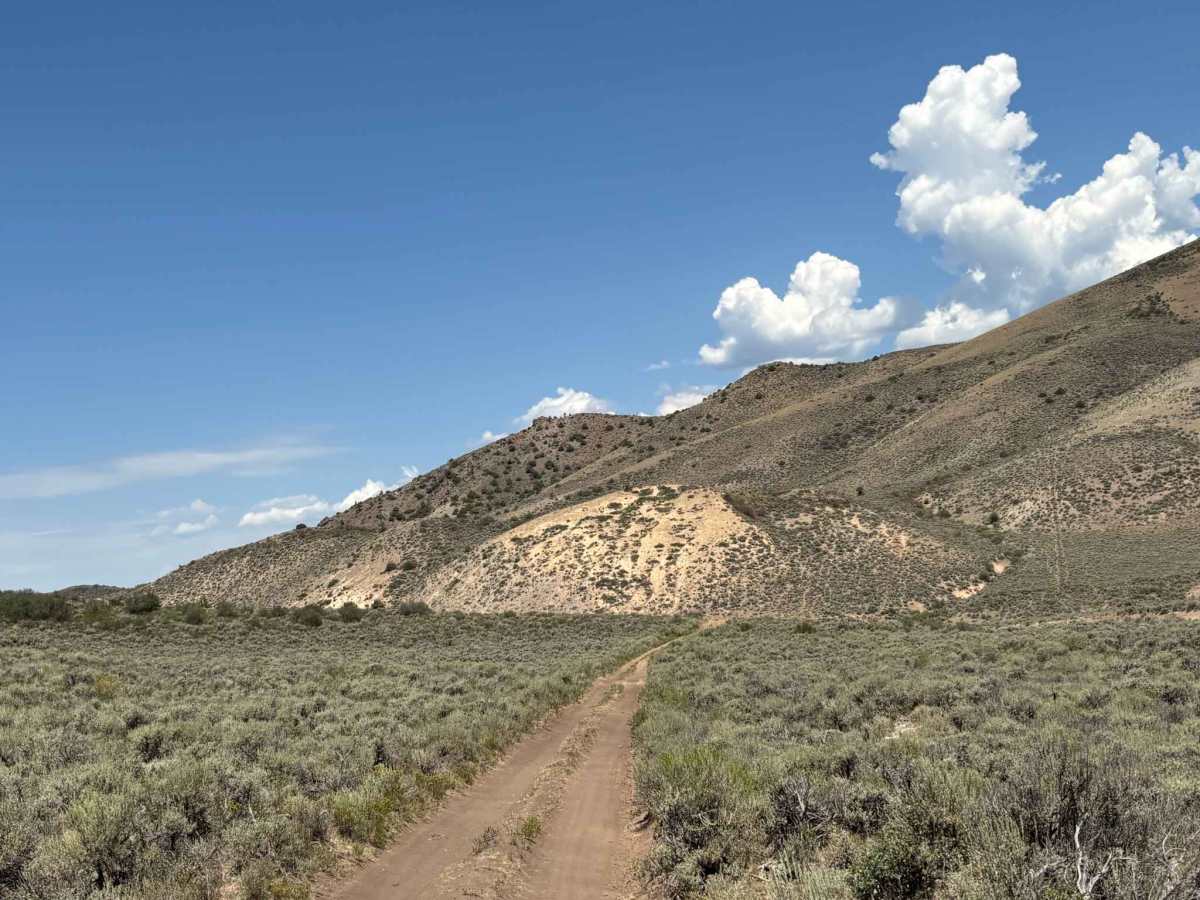 Northern Wolford Connector photo 3