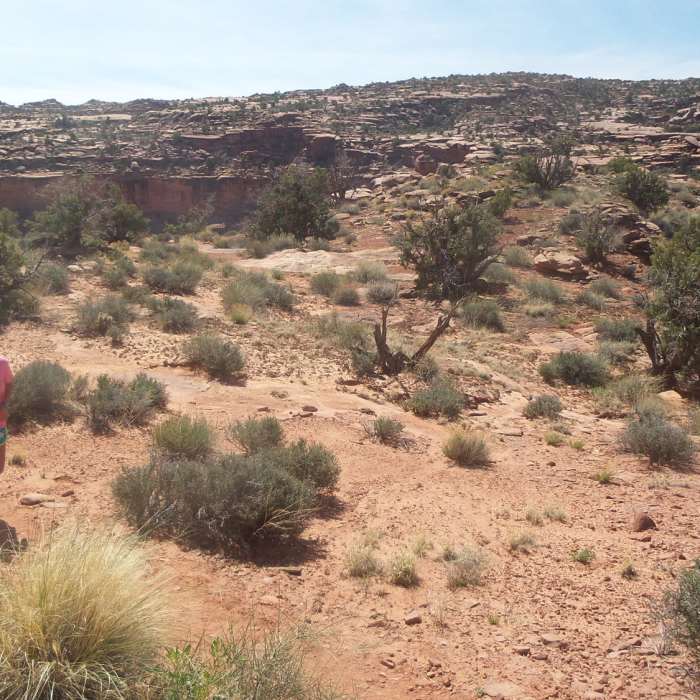 Near Moab Retreat: Day 1 Full Pint