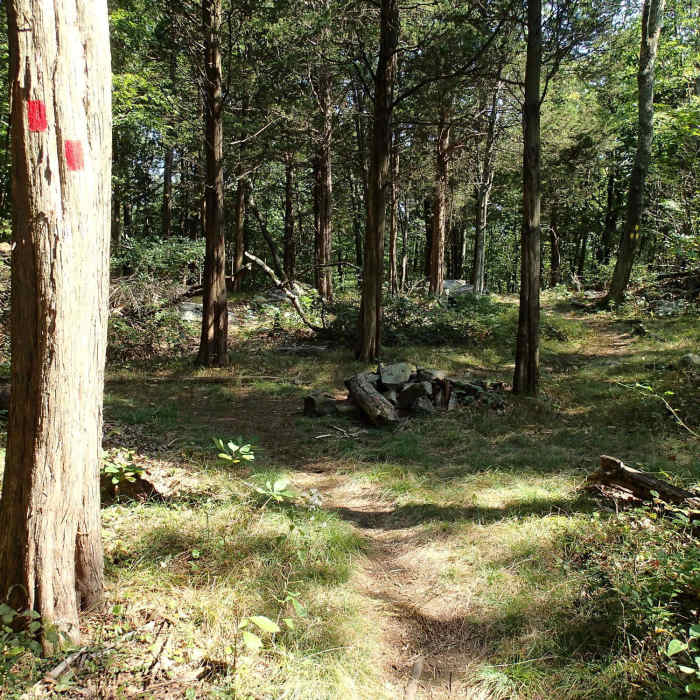 Near Turkey Mountain Red Trail