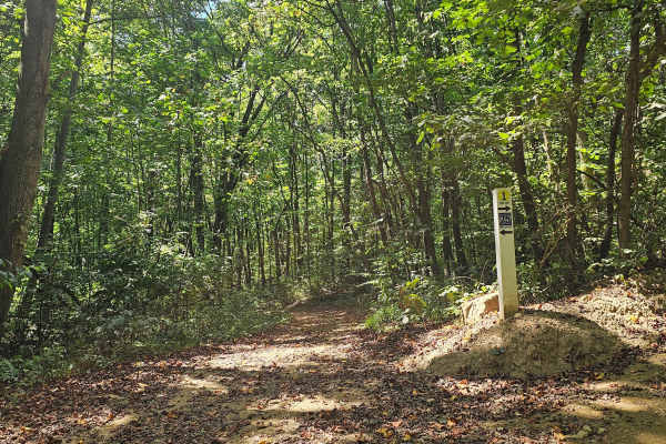 Trail 25