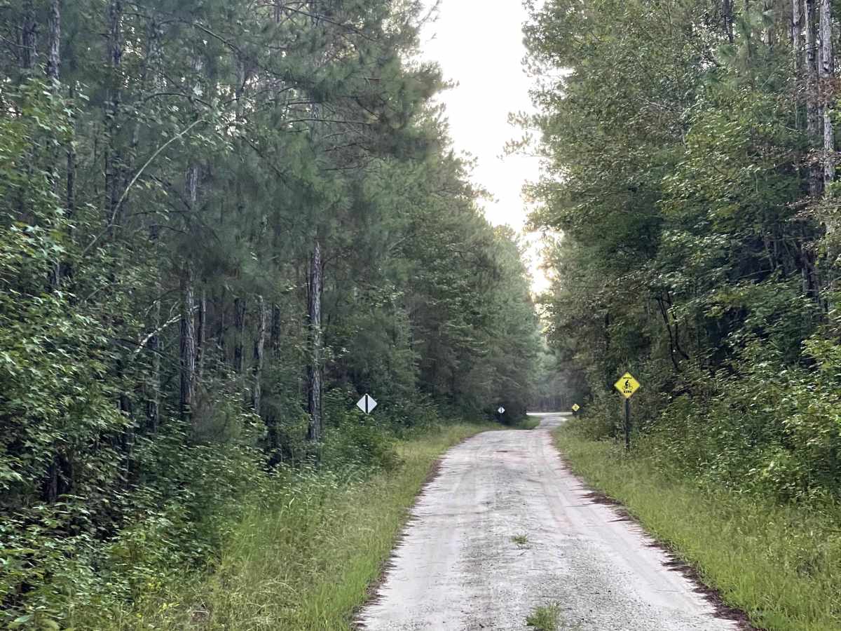 State Route 1553 photo 3