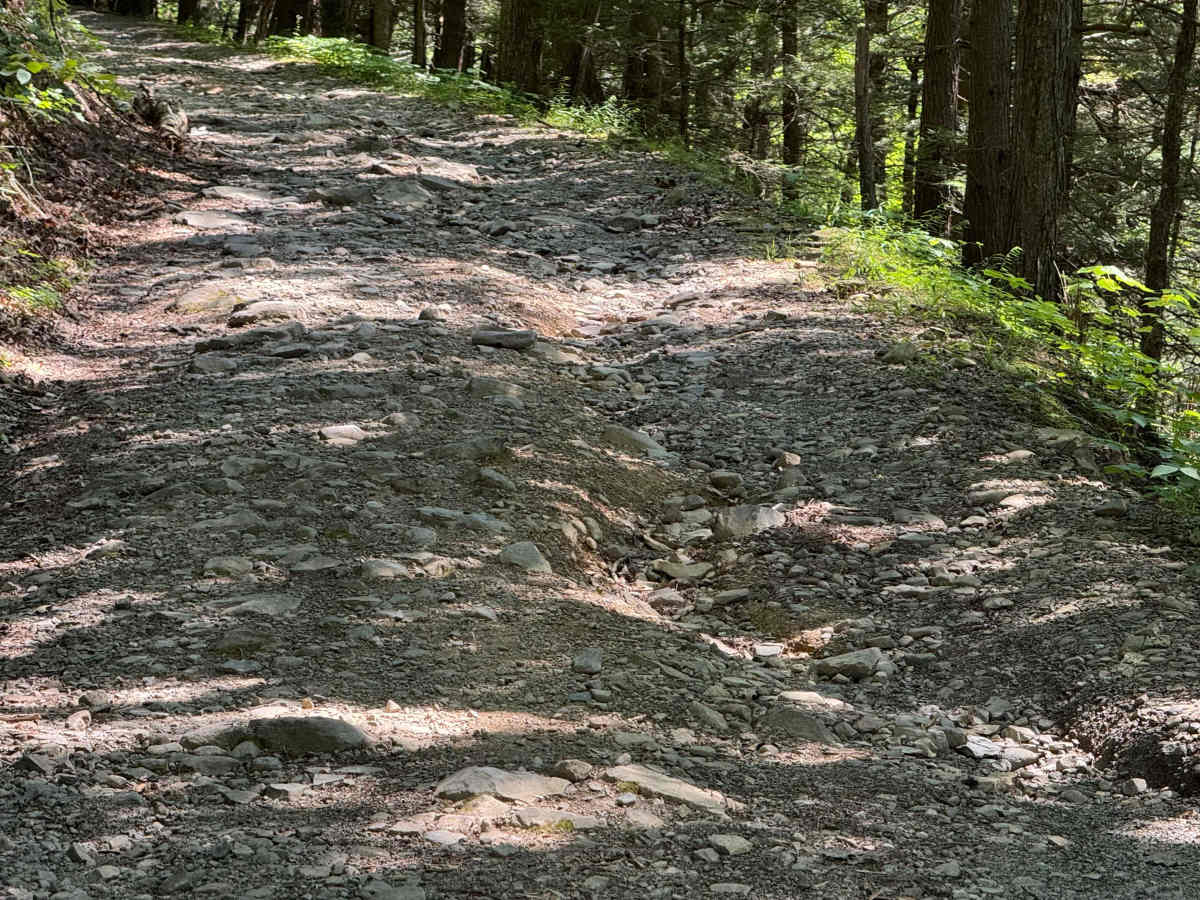 Dave Brown Mountain Road photo 5