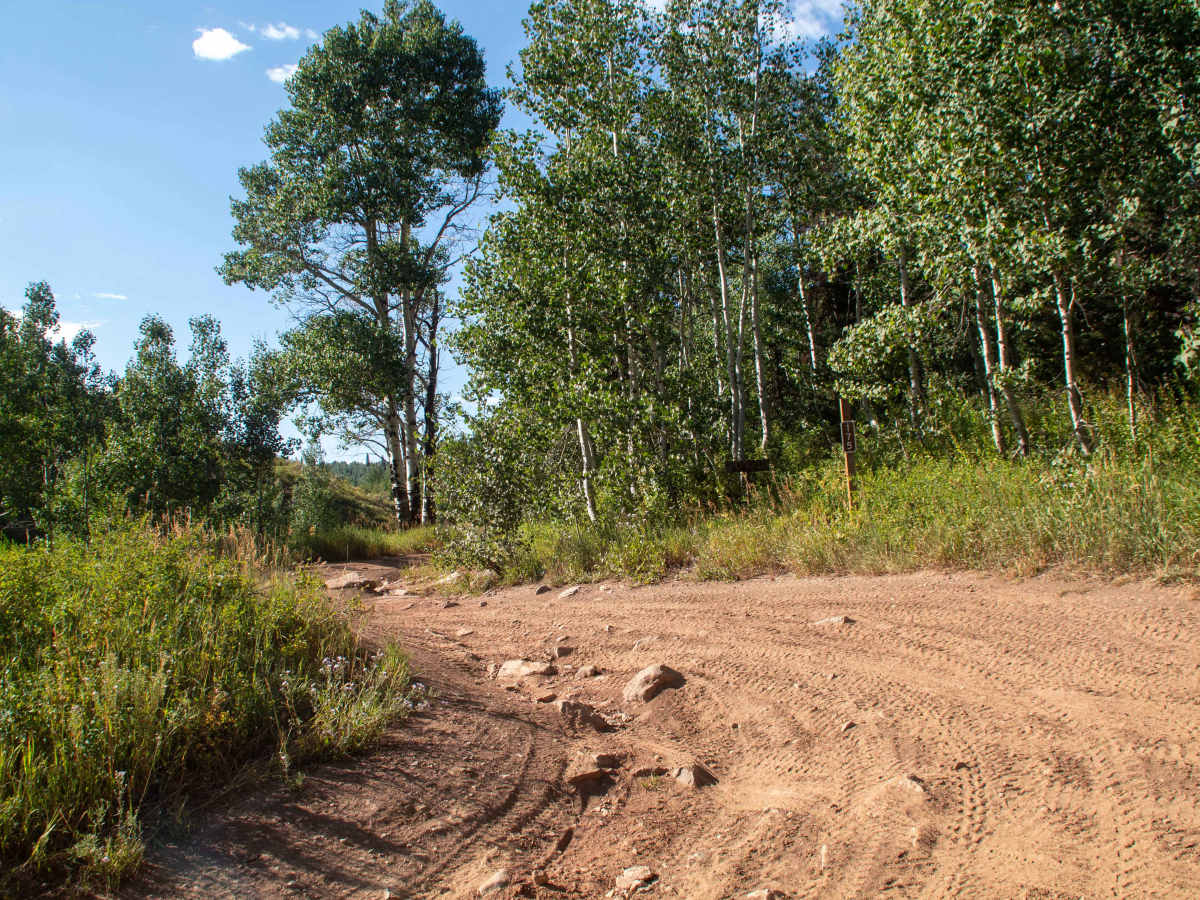 Chicken Creek photo 4
