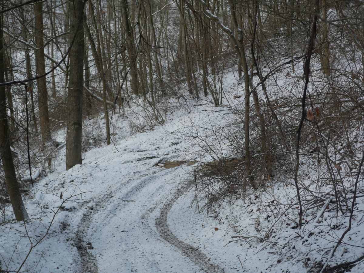 Trail 5 photo 4