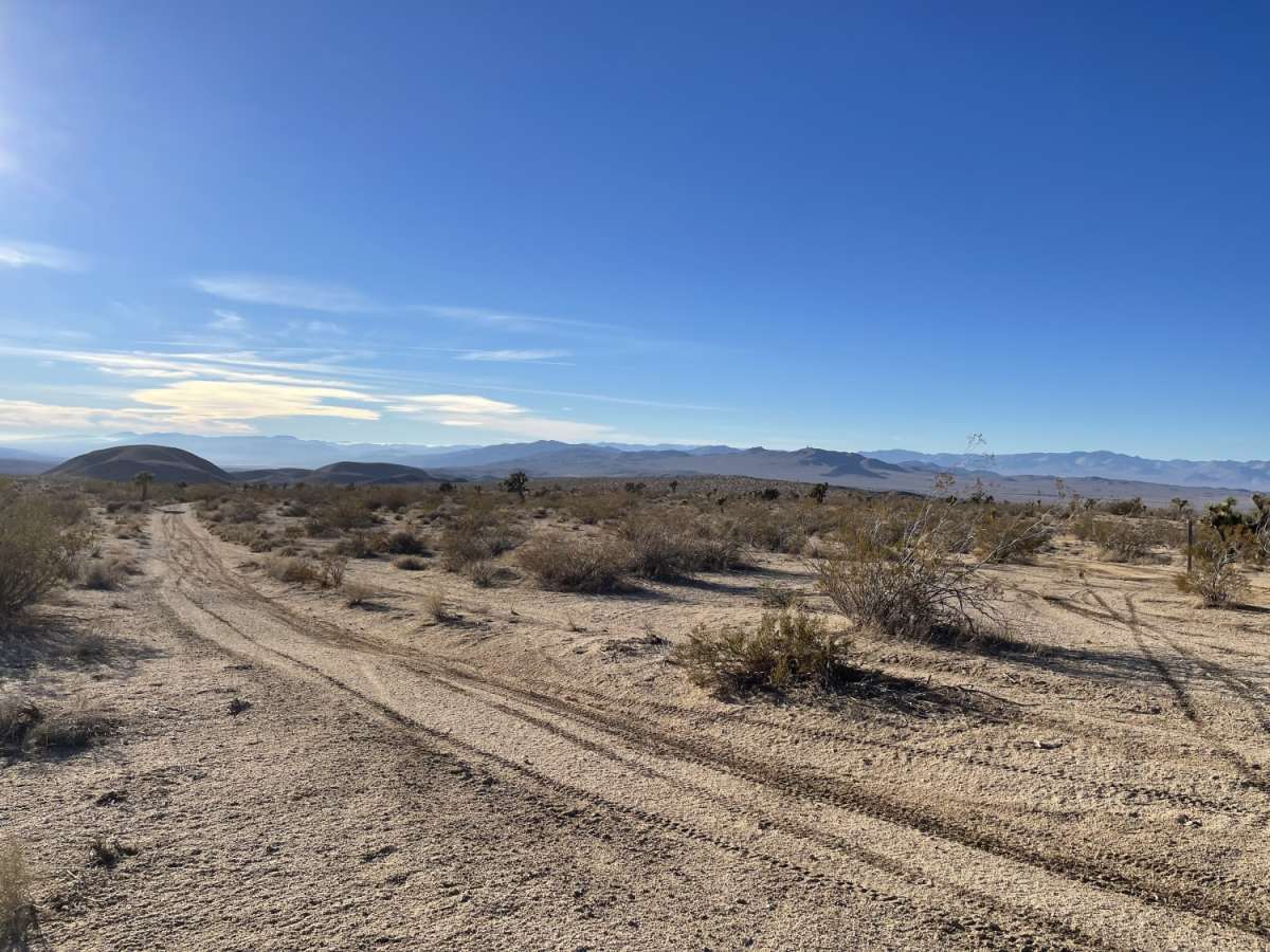 Savoy's Bumpy Return trail photo