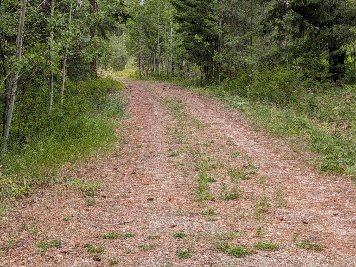 Chiliwist Creek Road photo 3