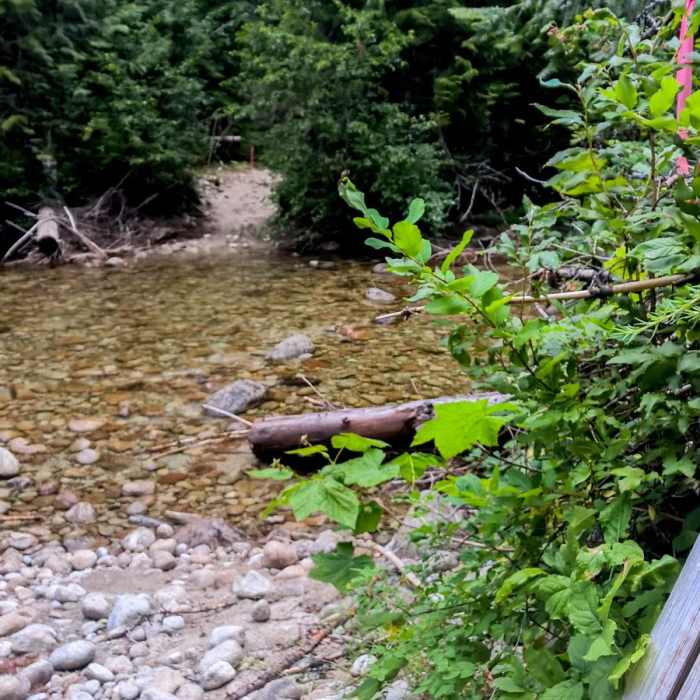 Near Pacific Northwest National Scenic Trail Section 5