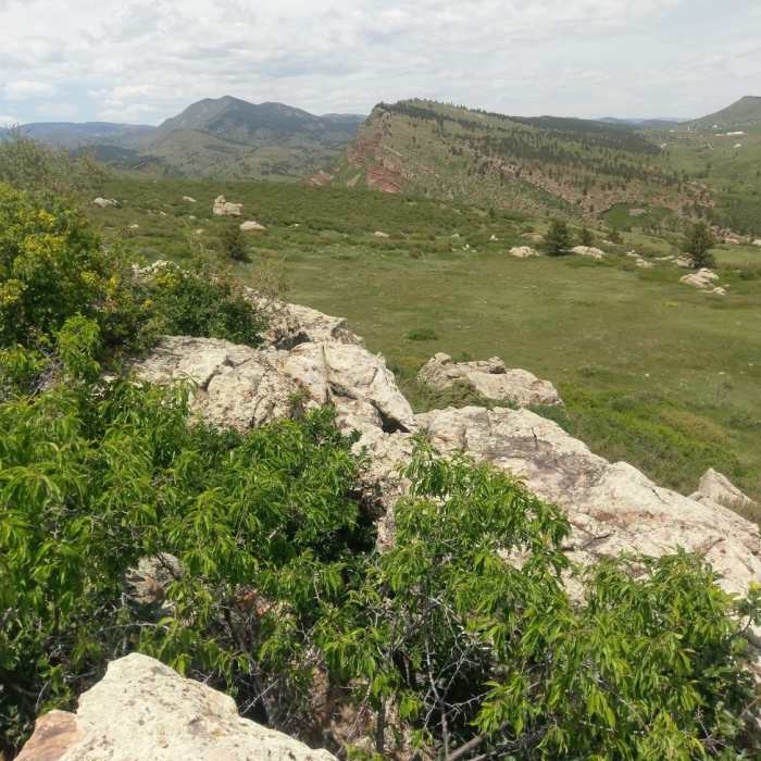 Near Little Thompson Overlook Trail