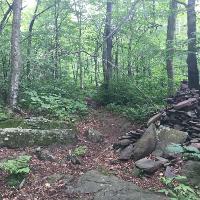 Near Kaaterskill High Peak Summit Path - South