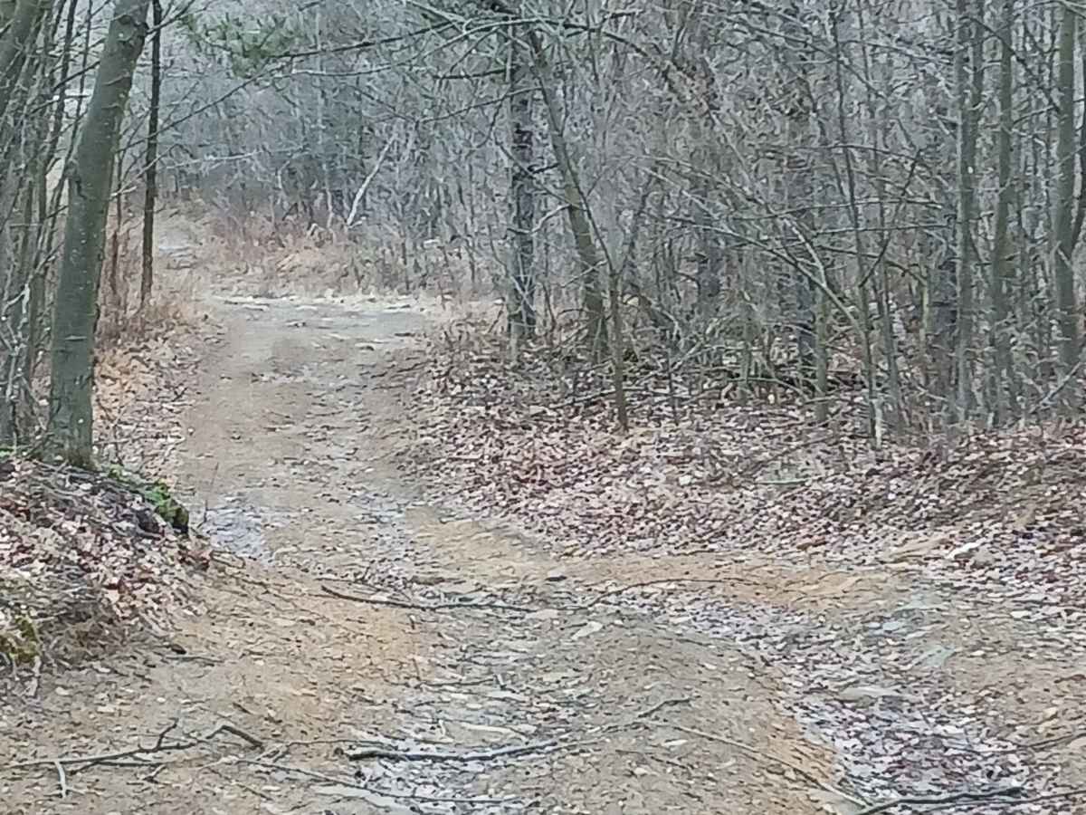 Trail 5E - Rock Run Recreation Area trail photo