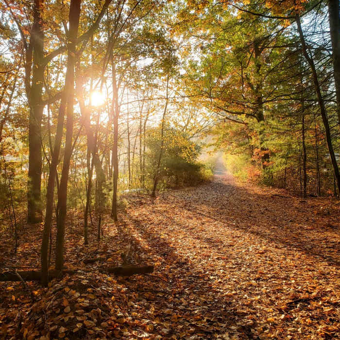 Near Assabet River National Wildlife Refuge + Rail Trail Near Assabet River National Wildlife Refuge + Rail Trail