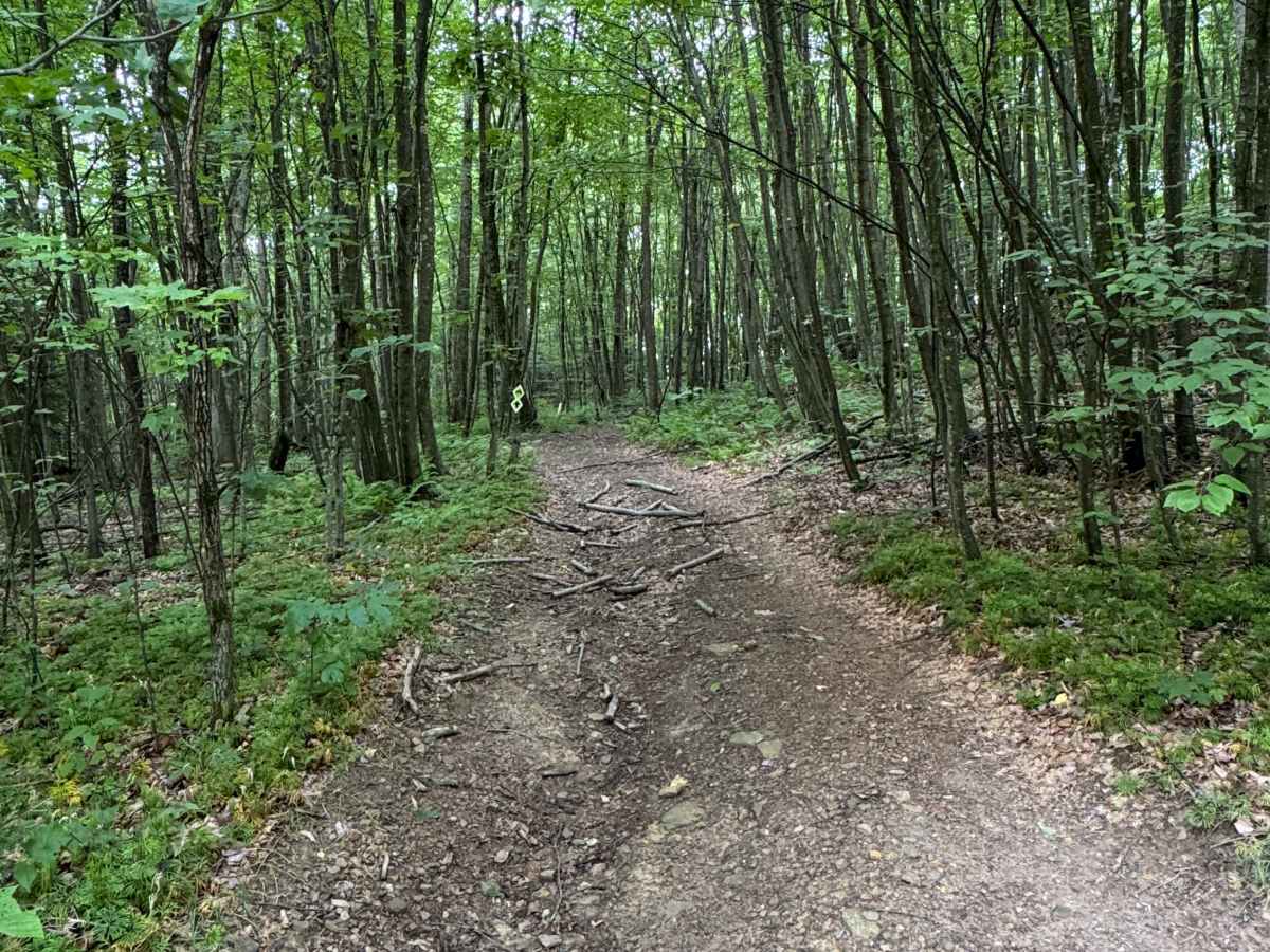 Trail 31 photo 2