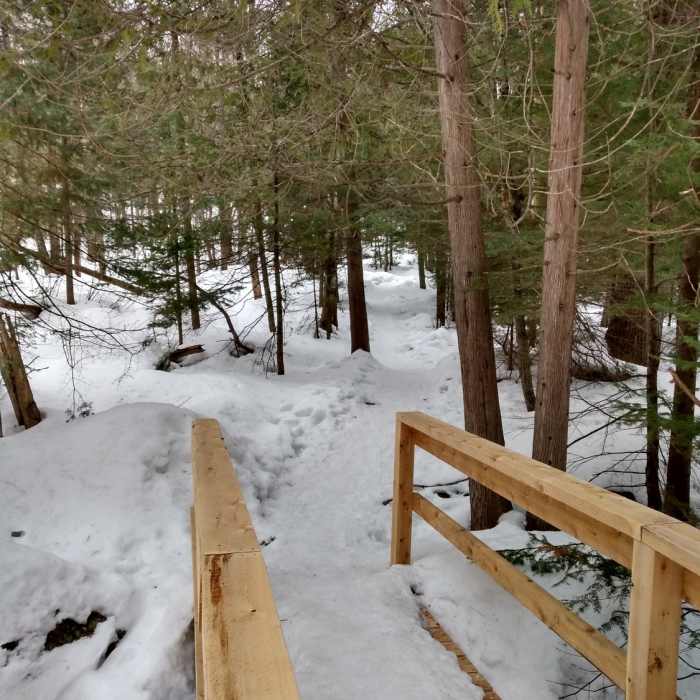 Near MOC Trail