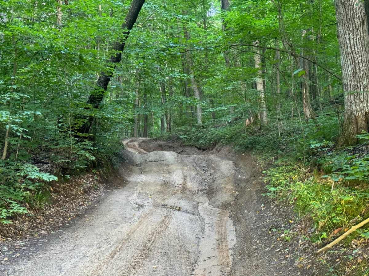FS 7694 trail photo