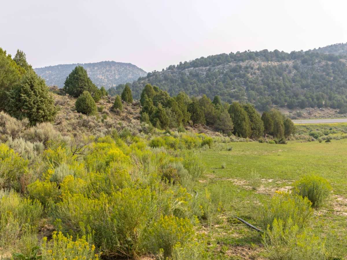 Little Creek trail photo