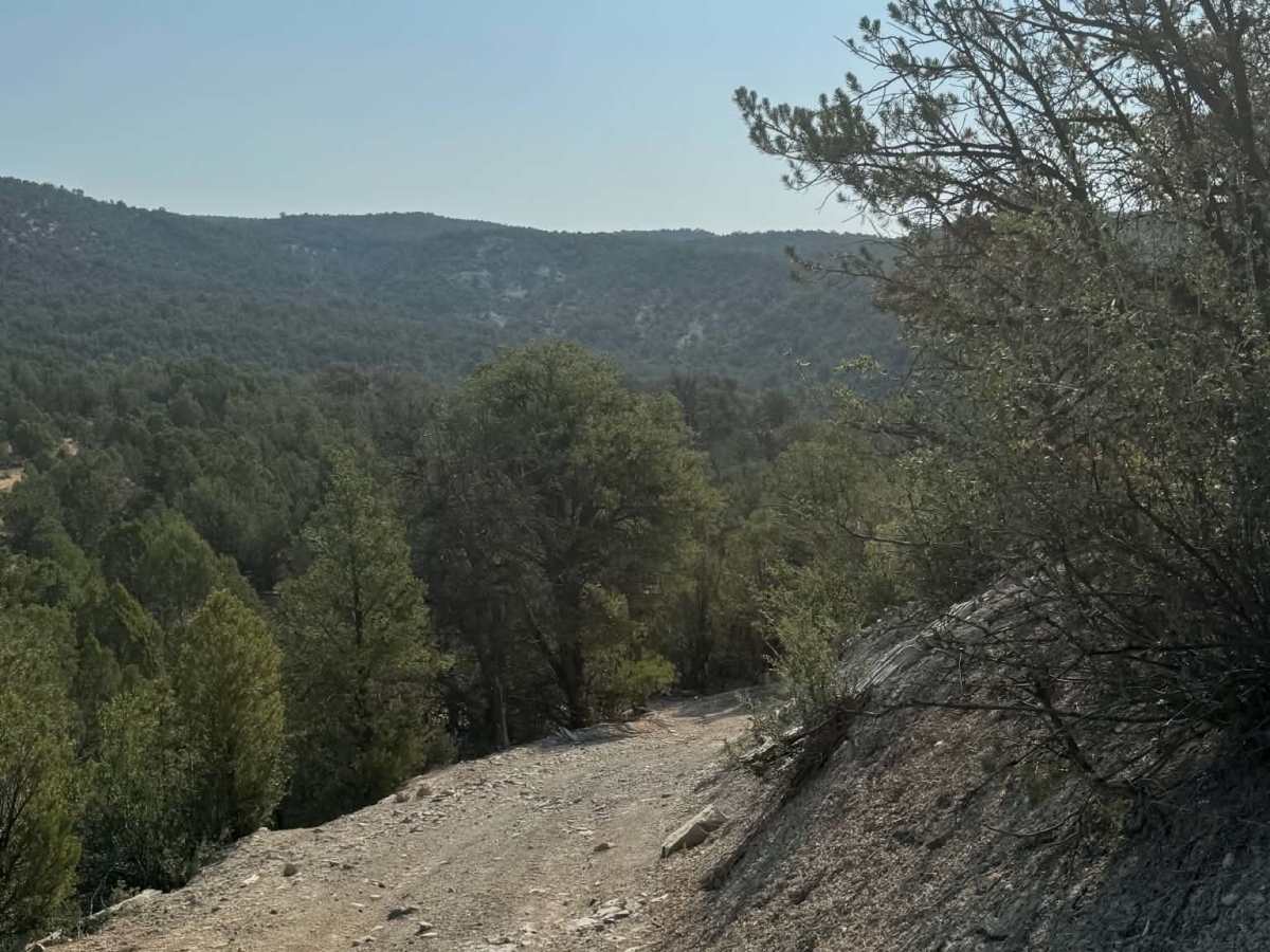 Rifle West photo 4