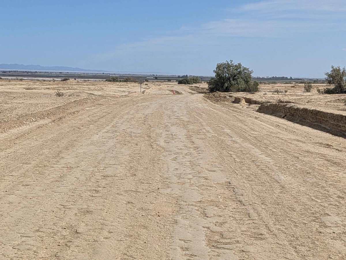 BLM 412 photo 6