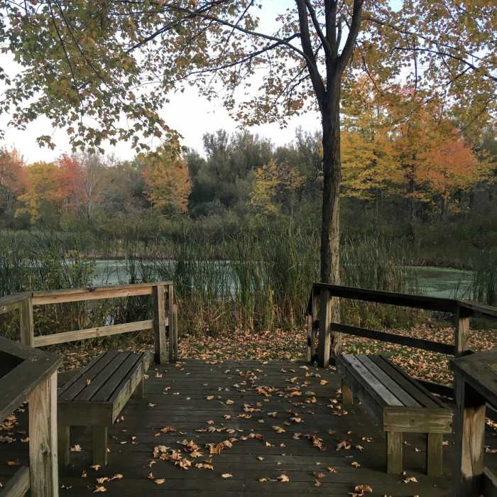 A hidden boardwalk grotto off to the side of the nature walk. Near Birdsong Nature Trail