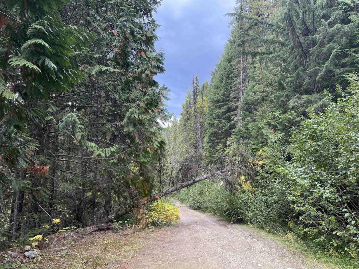 Old Monashee Highway photo 3