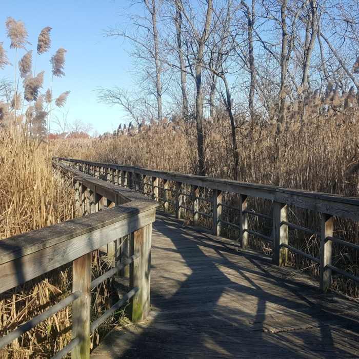 boardwalk Near Carlson Oxbow Park