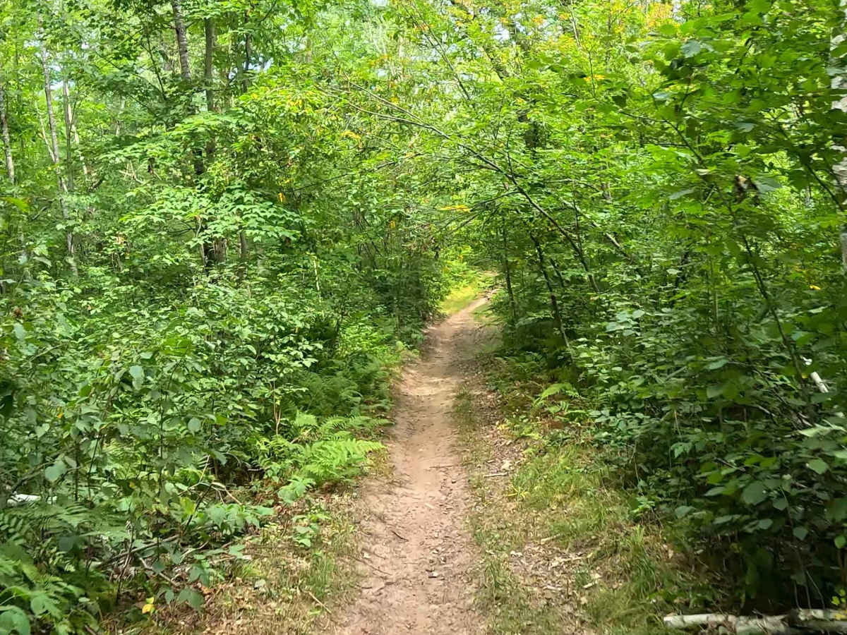 Chelsey Brook Trail photo 5