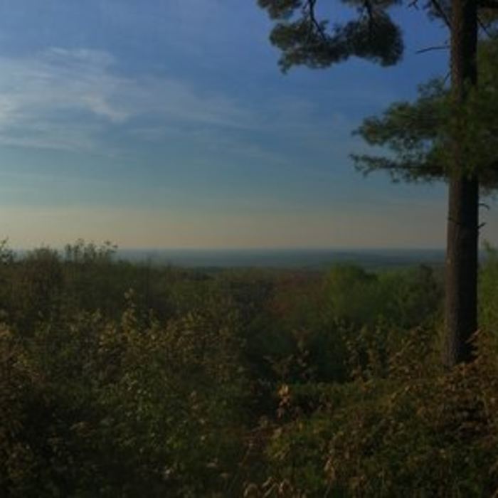 Near Limington Scenic Overlook Trail