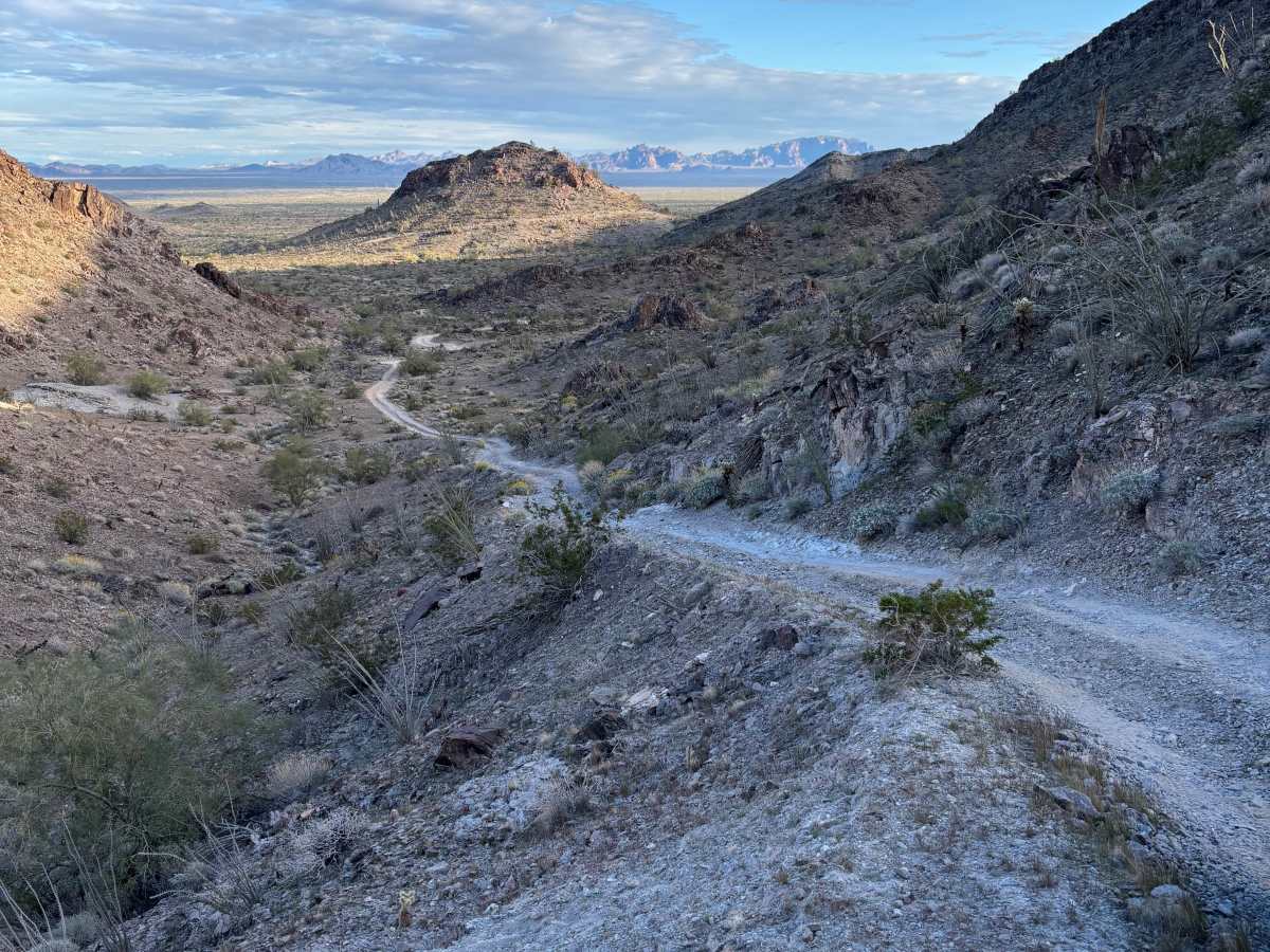 KOFA View photo 5
