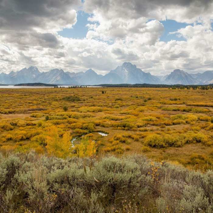 Near Lunch Tree Hill