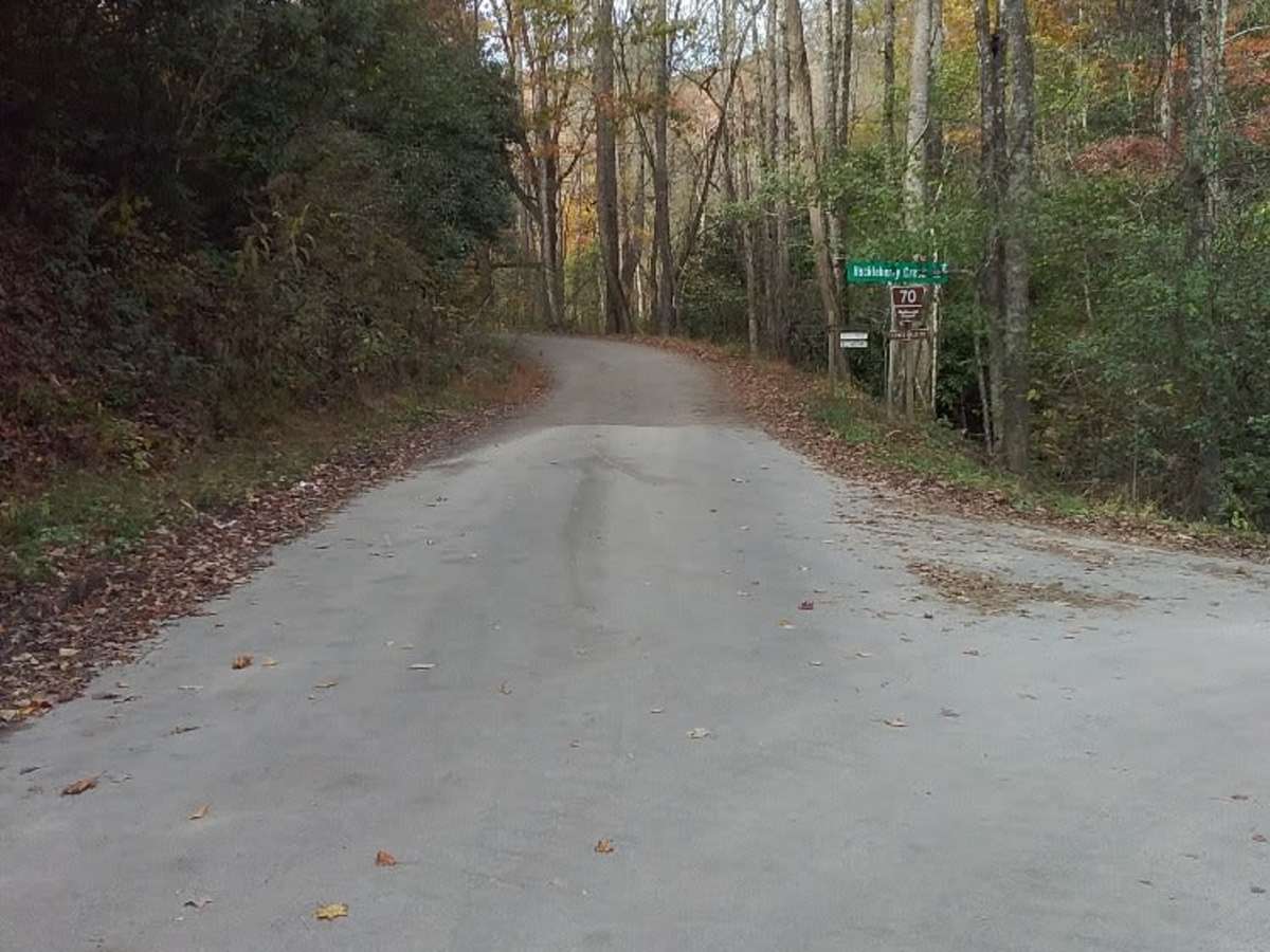 Cowee Bald photo 2