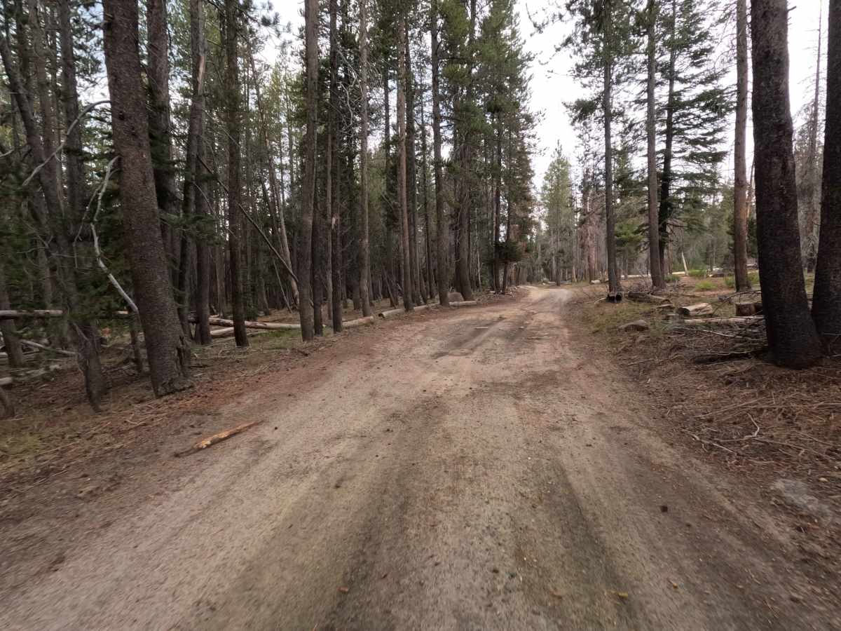 Stump Springs Road - FS 7S005 photo 3